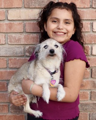 Pet Picture